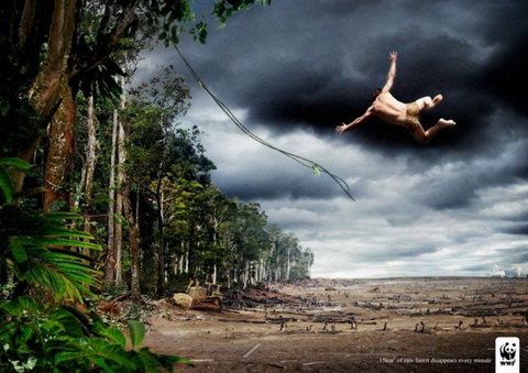 WWF - Please help save the forests!
